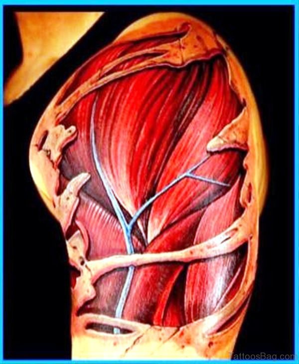 Red Anatomical Tattoo On Shoulder