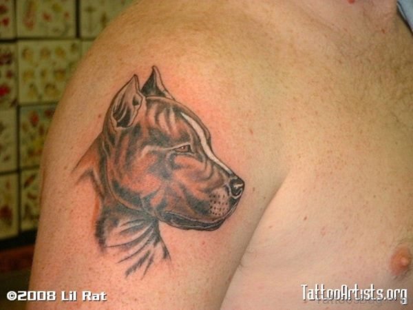 Sweet Brown Dog Tattoo
