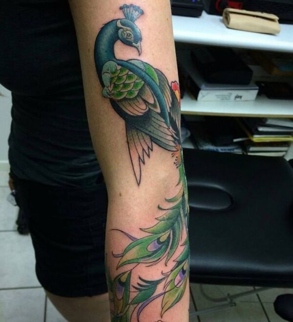 Peacock Tattoo