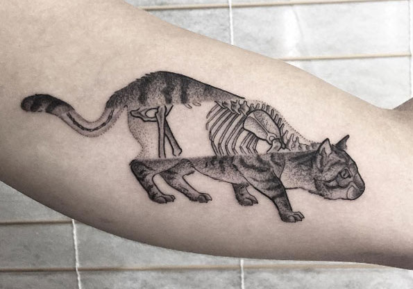 X Ray Cat Tattoo