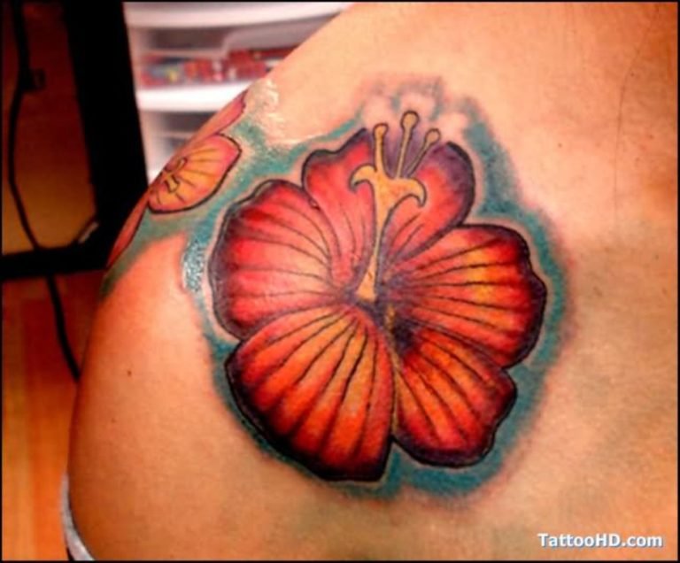 51 Classy Hibiscus Flower Tattoos For Shoulder - Tattoo Designs ...