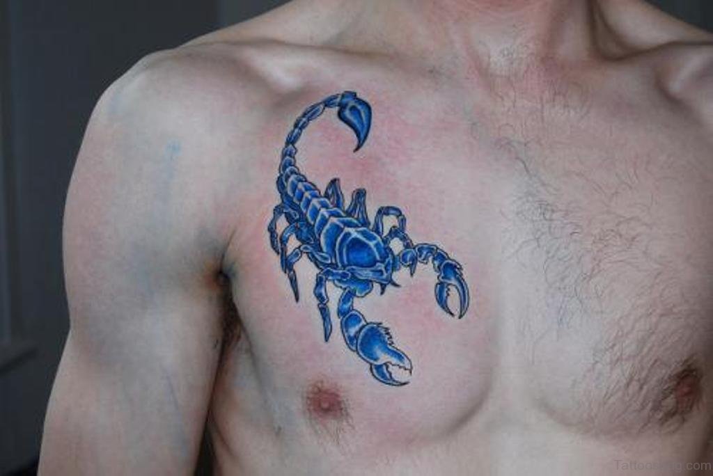 pictures of scorpion tattoos  2011 Stunning Collection Of Scorpion Tattoo  Design Design 769x1024   Hand tattoos Scorpio tattoo Tattoos for guys